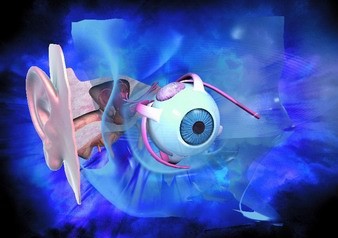 速讀記憶訓(xùn)練助你領(lǐng)先一步   ——精英特速讀記憶訓(xùn)練網(wǎng)