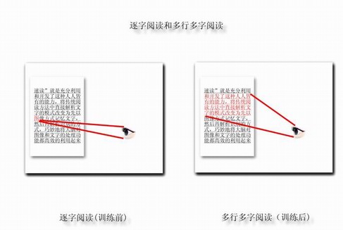 一目十行不是夢(mèng)，過(guò)目不忘你也能！  —— 精英特速讀記憶訓(xùn)練網(wǎng)